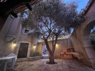 Courtyard with olive tree